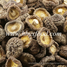 Сельскохозяйственная еда Сушеные гладкие грибы шиитаке из Китая